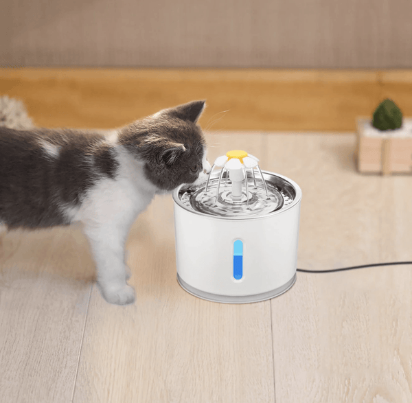 MonChaton™ Fresh-Fontaine à Fleur pour chat - MonChaton