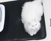 MonChaton™ l Smart-Tapis- Litière pour chat Révolutionnaire - MonChaton