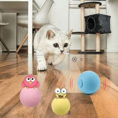 Balle intelligente d'apprentissage pour chat - MonChaton