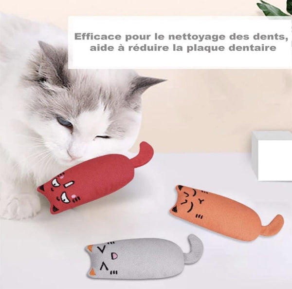 Funny-Jouet en peluche interactif pour chat - MonChaton